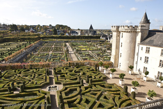 Μεσαιωνικοί Κήποι Λαχανικών στο Κάστρο de Villandry - Εικόνα 16