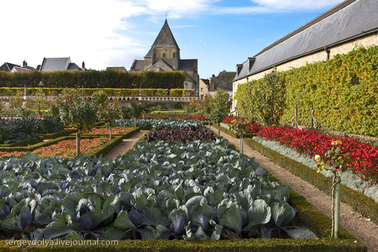 Μεσαιωνικοί Κήποι Λαχανικών στο Κάστρο de Villandry - Εικόνα 3