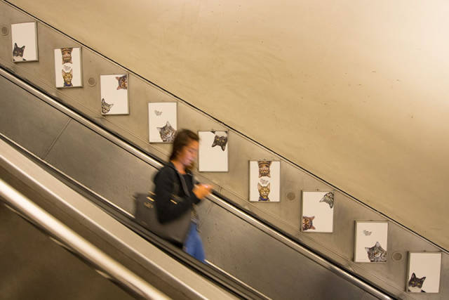 Το μετρό του Λονδίνου γέμισε γάτες - Εικόνα 7