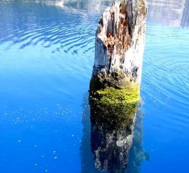 Το μυστήριο του «Old Man» που επιπλέει εδώ και χρόνια σε λίμνη του Όρεγκον - Εικόνα 1