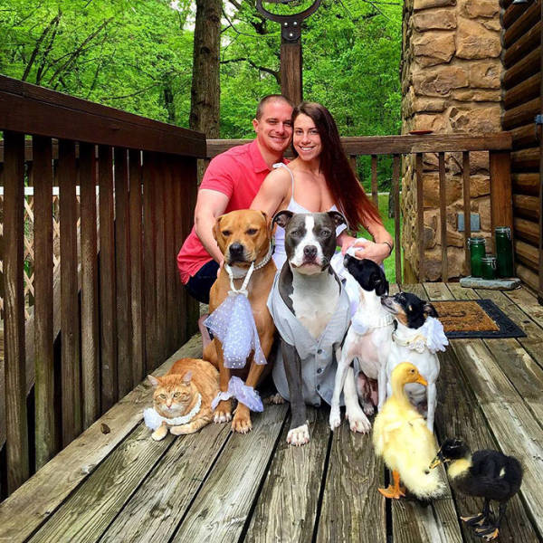 Πως μοιάζει η ζωή μιας οικογένειας με 4 σκύλους, 1 γάτα και 2 πάπιες  - Εικόνα 17