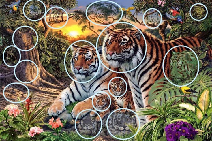 Μπορείτε να βρείτε όλες τις τίγρεις στην εικόνα; - Εικόνα 1