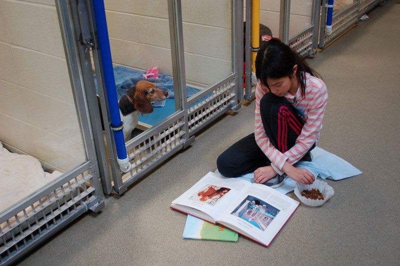 Παιδιά βοηθούν Σκυλάκια σε Καταφύγιο να κοινωνικοποιηθούν διαβάζοντάς τους - Εικόνα 16