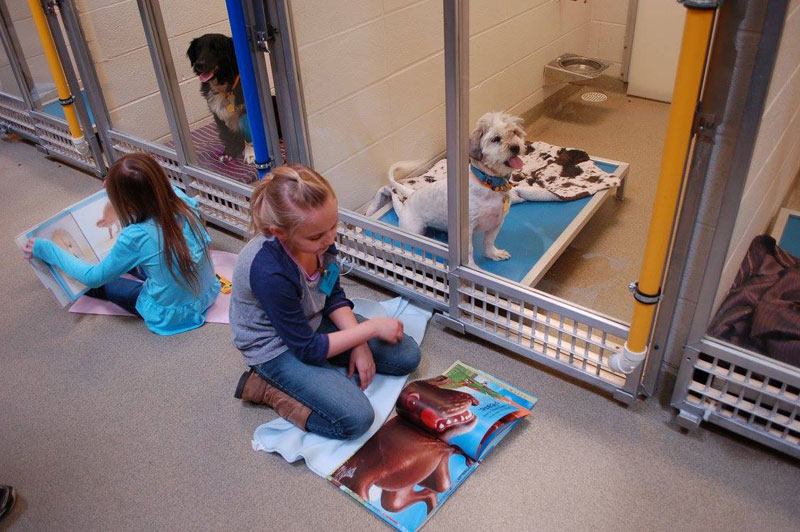Παιδιά βοηθούν Σκυλάκια σε Καταφύγιο να κοινωνικοποιηθούν διαβάζοντάς τους - Εικόνα 6
