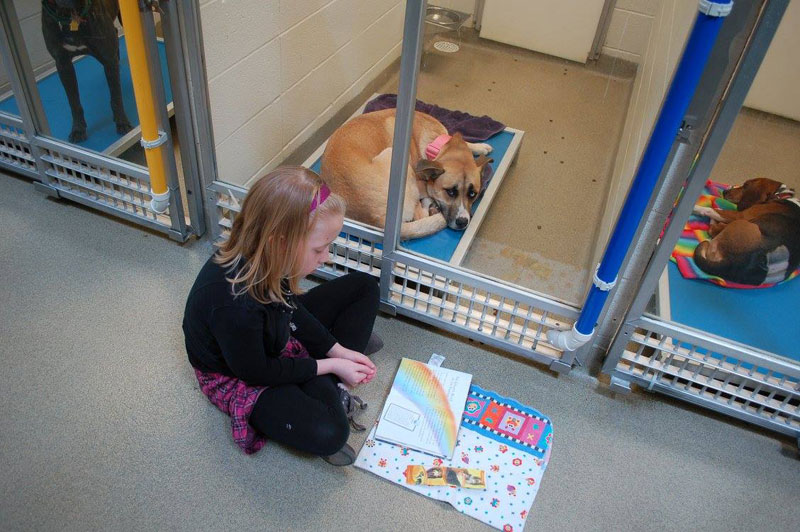 Παιδιά βοηθούν Σκυλάκια σε Καταφύγιο να κοινωνικοποιηθούν διαβάζοντάς τους - Εικόνα 8