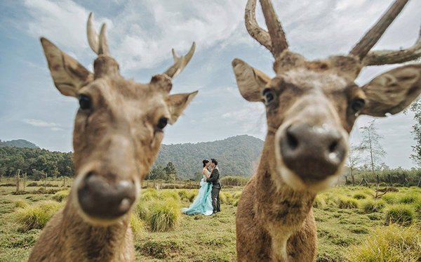 17 Photobombs γάμου που θα σας κάνουν να ξεκαρδιστείτε στα γέλια - Εικόνα7