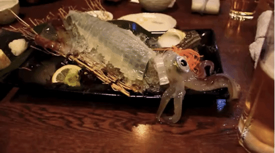 17 πιάτα που Αποδεικνύουν ότι το Ιαπωνικό φαγητό είναι εντελώς Τρελό… - Εικόνα17