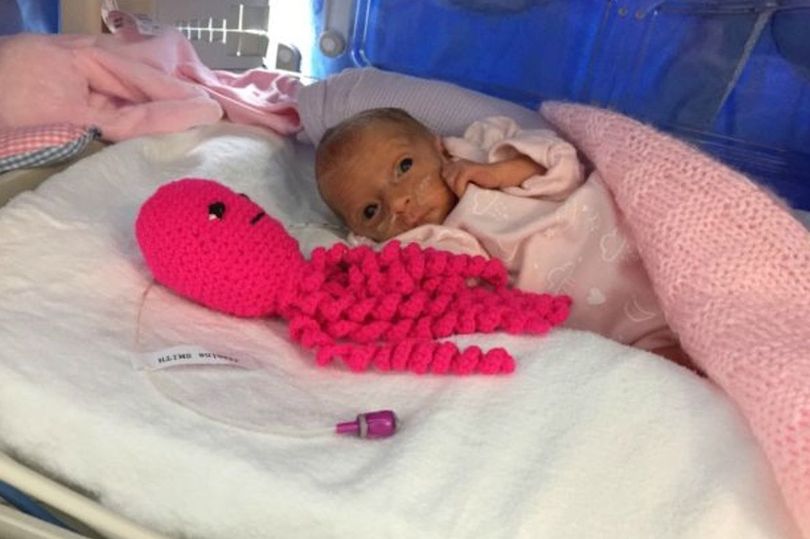 Πλεκτά χταποδάκια σώζουν τις ζωές πρόωρων μωρών στα νοσοκομεία - Εικόνα 