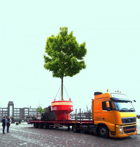 Ενα πλωτό δάσος στο Ρότερνταμ -Δένδρα μέσα στο λιμάνι [εικόνες] - Εικόνα1