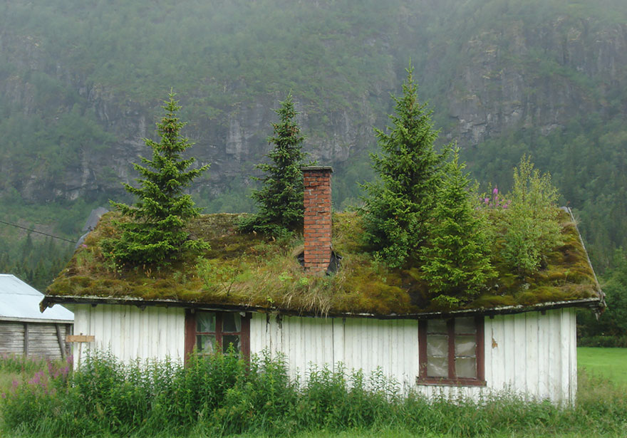 10 Σκανδιναβικά σπίτια που μοιάζουν να κατοικούνται από νεράιδες και ξωτικά - Εικόνα 16