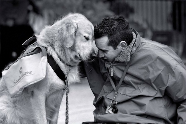 Σκυλάκια που αγαπάνε τη ζωή και χαίρονται κάθε στιγμή - Εικόνα 10