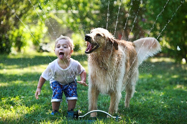 Σκυλάκια που αγαπάνε τη ζωή και χαίρονται κάθε στιγμή - Εικόνα 5