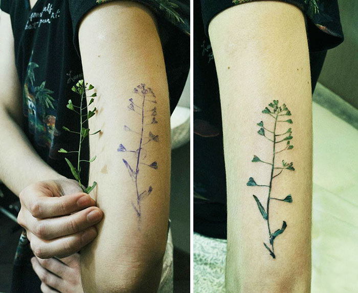 Tattoo Artist Χρησιμοποιεί Αληθινά Φύλλα και Λουλούδια για Μοναδικά Τατουάζ...! - Εικόνα 6