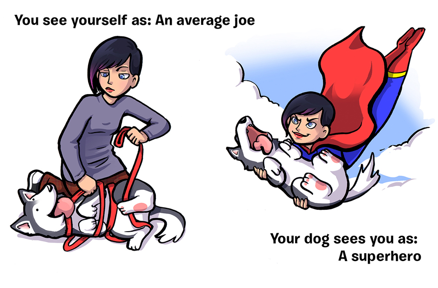 Πώς βλέπεις τον Εαυτό σου vs Πώς σε βλέπει ο σκύλος σου - Εικόνα 15