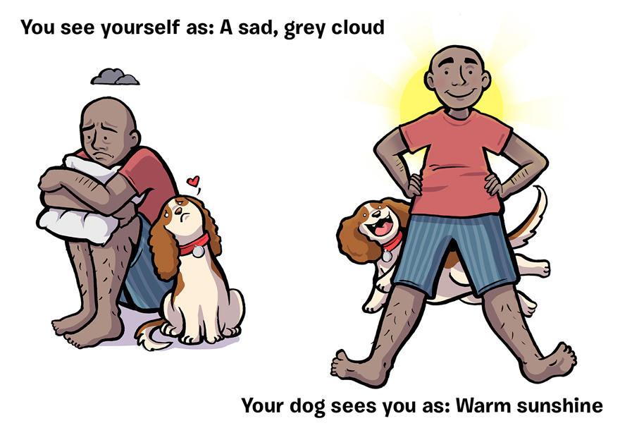 Πώς βλέπεις τον Εαυτό σου vs Πώς σε βλέπει ο σκύλος σου - Εικόνα 22