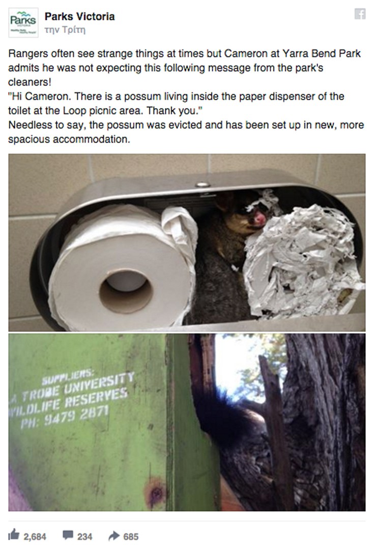 Τι βρήκε ένας υπάλληλος καθαριότητας στις τουαλέτες πάρκου της Αυστραλίας - Εικόνα1