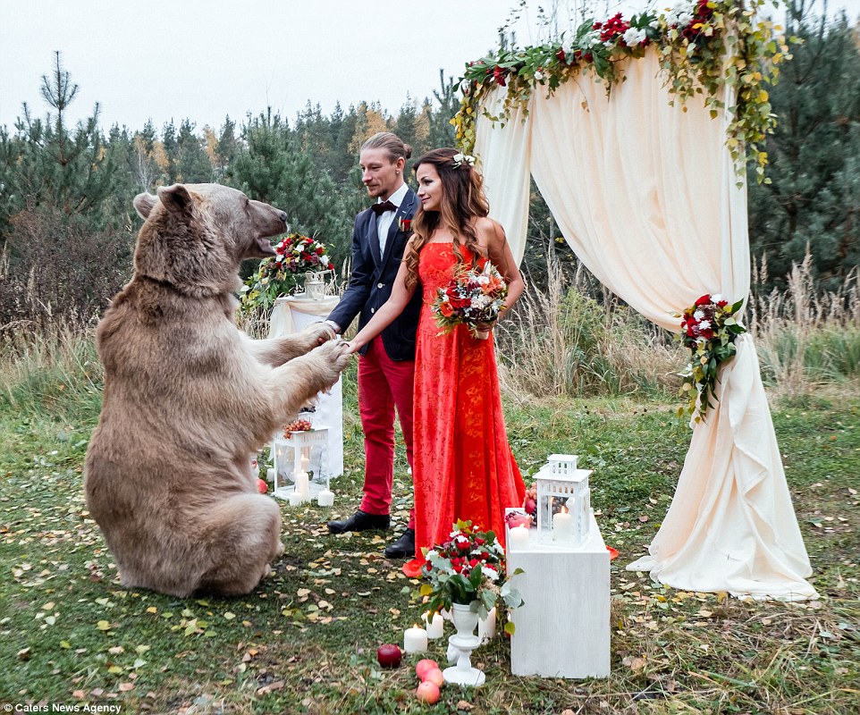 Ζευγάρι από την Ρωσία επέλεξε για κουμπάρο τους μια αρκούδα. - Εικόνα 3