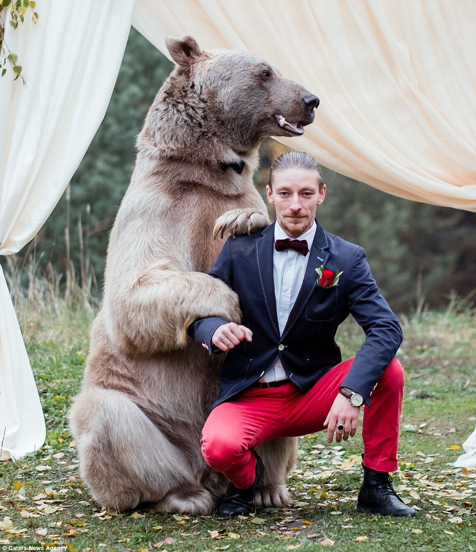 Ζευγάρι από την Ρωσία επέλεξε για κουμπάρο τους μια αρκούδα. - Εικόνα 4