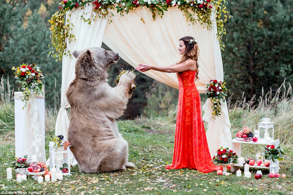 Ζευγάρι από την Ρωσία επέλεξε για κουμπάρο τους μια αρκούδα. - Εικόνα 5