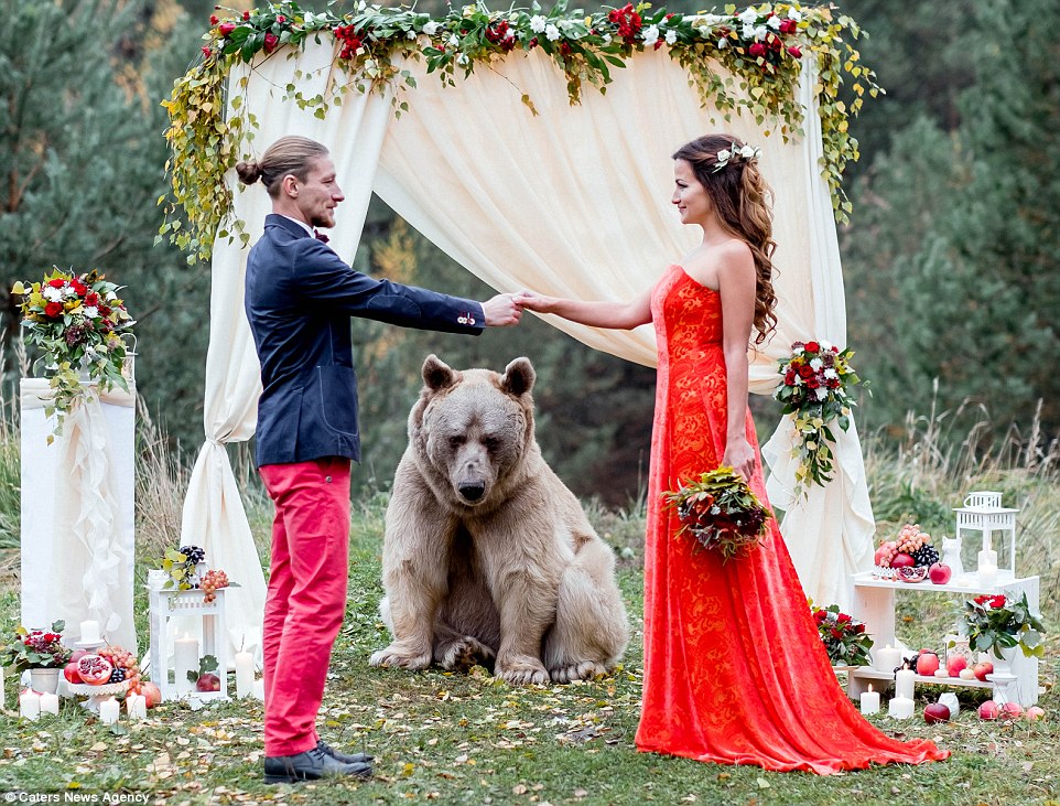 Ζευγάρι από την Ρωσία επέλεξε για κουμπάρο τους μια αρκούδα. - Εικόνα 6