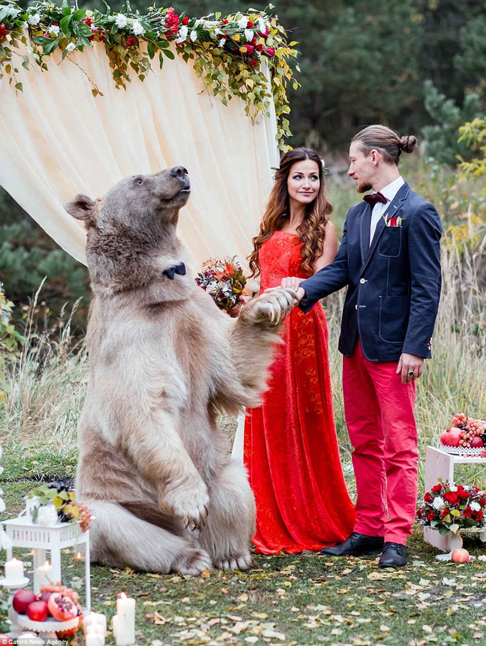 Ζευγάρι από την Ρωσία επέλεξε για κουμπάρο τους μια αρκούδα. - Εικόνα 9