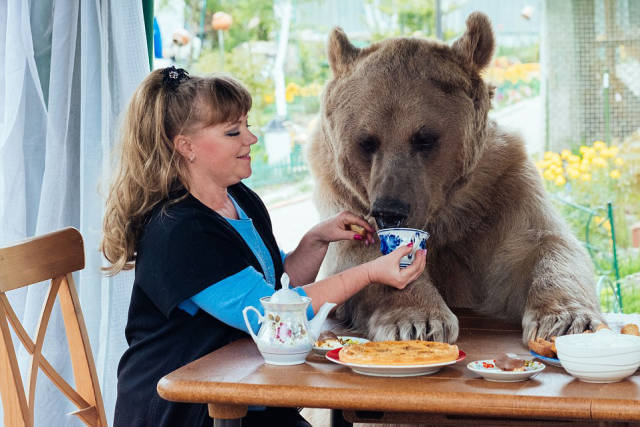 Ζευγάρι απο τη Ρωσία έχει ως κατοικίδιο μια γιγάντια αρκούδα! - Εικόνα 1