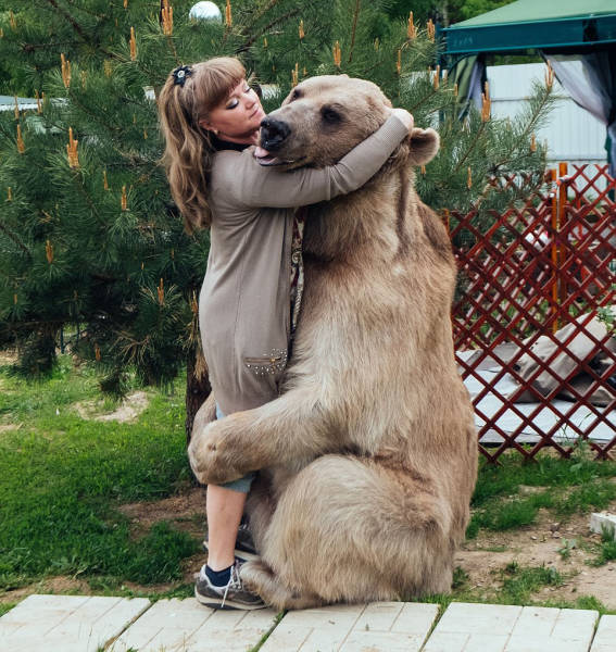 Ζευγάρι απο τη Ρωσία έχει ως κατοικίδιο μια γιγάντια αρκούδα! - Εικόνα 11