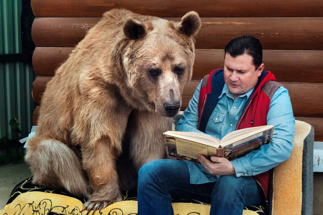 Ζευγάρι απο τη Ρωσία έχει ως κατοικίδιο μια γιγάντια αρκούδα! - Εικόνα 2