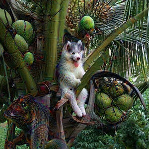 Αυτό το Husky κόλλησε σε ένα δέντρο και το ίντερνετ αποφάσισε να βοηθήσει με Photoshop - Εικόνα 36