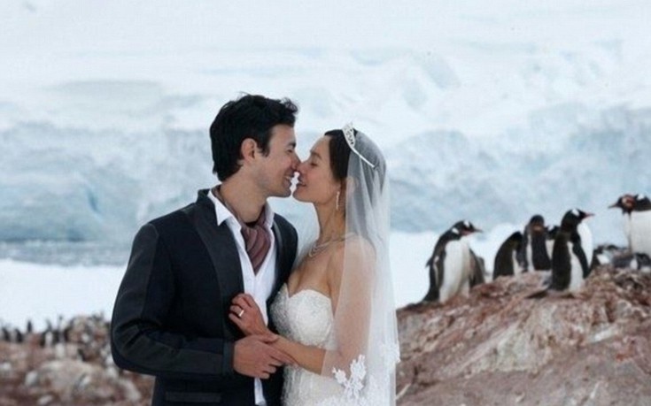 Γάμος με φόντο...Ανταρκτική! - Εικόνα 8