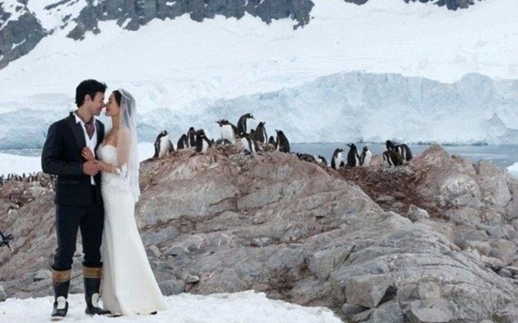Γάμος με φόντο...Ανταρκτική! - Εικόνα 9