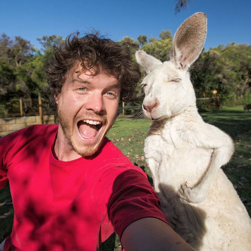 Γνωρίστε τον άνθρωπο που βγάζει τις καλύτερες selfies με ζωάκια - Εικόνα 2