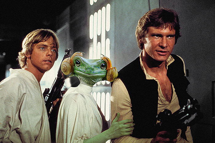 Ο βάτραχος που μοιάζει με την πριγκίπισσα Leia πυροδότησε μια μάχη με Photoshop και τα αποτελέσματα είναι ξεκαρδιστικά - Εικόνα 11