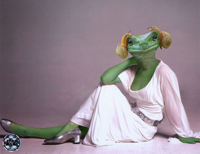 Ο βάτραχος που μοιάζει με την πριγκίπισσα Leia πυροδότησε μια μάχη με Photoshop και τα αποτελέσματα είναι ξεκαρδιστικά - Εικόνα 17