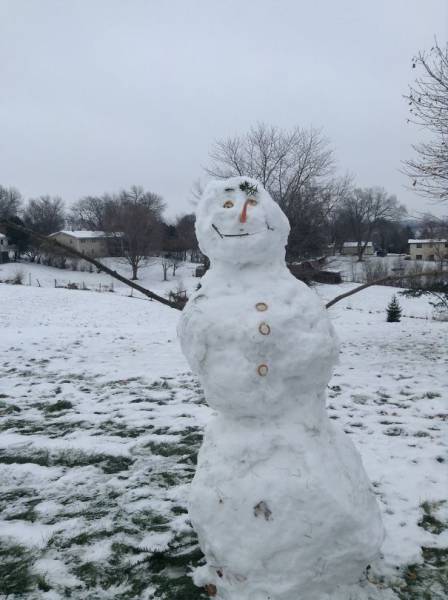 Ακόμη και ένας χιονάνθρωπος μπορεί να γίνει έργο τέχνης - Εικόνα 55