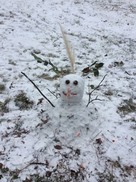 Ακόμη και ένας χιονάνθρωπος μπορεί να γίνει έργο τέχνης - Εικόνα 57