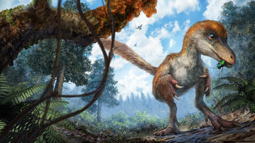 Aνακαλύφθηκε η πρώτη καλά διατηρημένη ουρά δεινοσαύρου σε κεχριμπάρι - Εικόνα 7