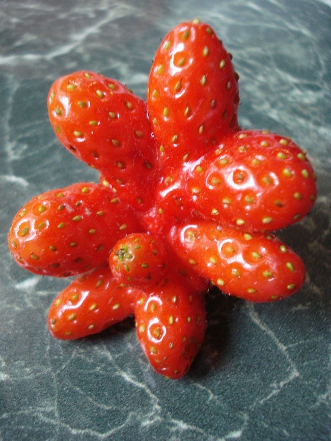 Αυτά τα περίεργα φρούτα, αποδεικνύουν οτι η Φύση έχει χιούμορ! - Εικόνα 17