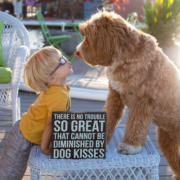 Μια υπέροχη και γλυκιά σχέση μεταξύ ενός αγοpιού και ενός σκύλου - Εικόνα 6