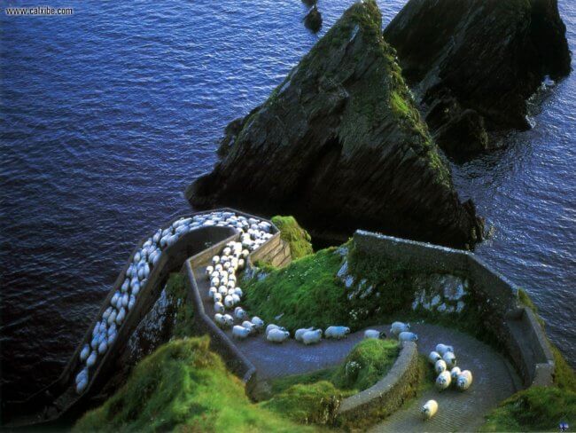 21 Λόγοι να κάνουμε αποταμίευση και να πάμε ένα ταξίδι στην Ιρλανδία - Εικόνα 13