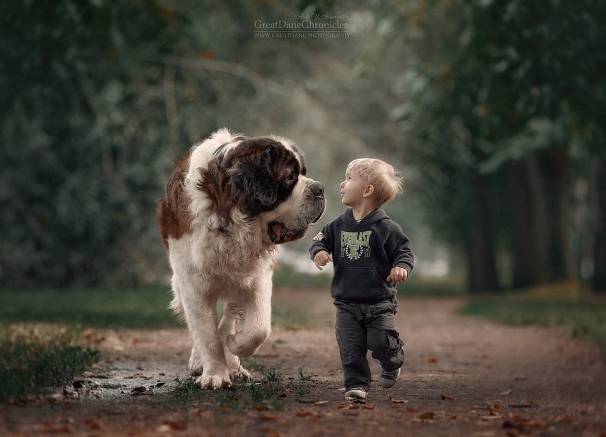 Μεγάλοι σκύλοι μικρά παιδιά - Εικόνα 13