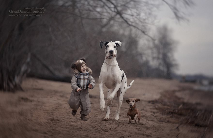 Μεγάλοι σκύλοι μικρά παιδιά - Εικόνα 16