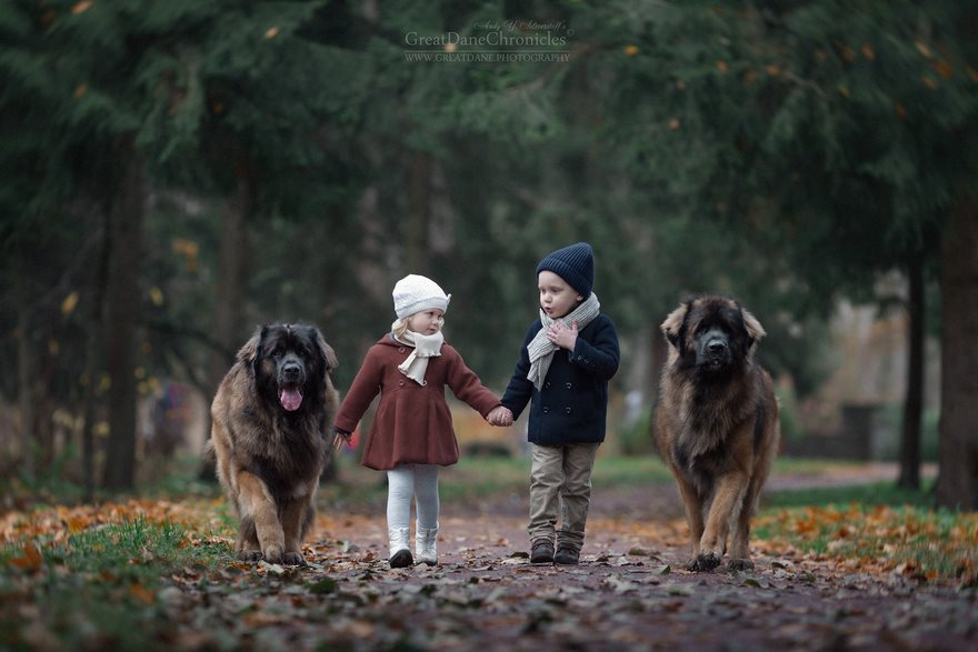 Μεγάλοι σκύλοι μικρά παιδιά - Εικόνα 22