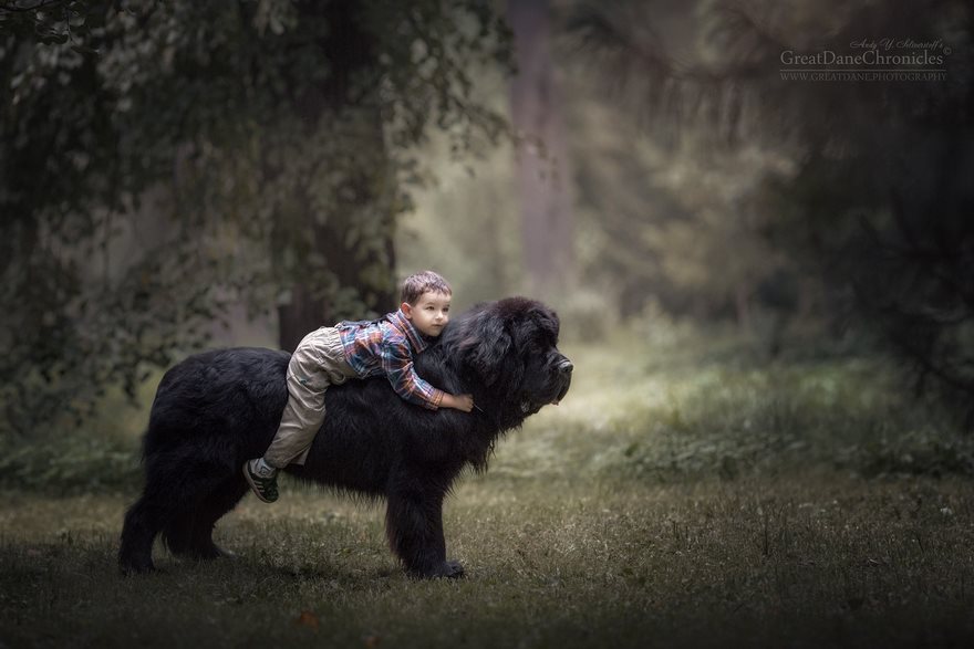 Μεγάλοι σκύλοι μικρά παιδιά - Εικόνα 28