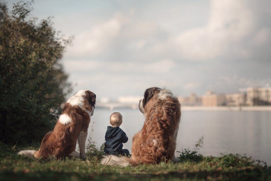 Μεγάλοι σκύλοι μικρά παιδιά - Εικόνα 31
