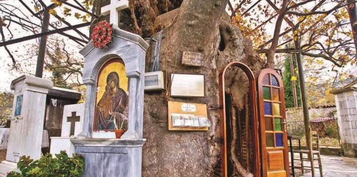 Μοναδικό στην Ελλάδα: Το Εκκλησάκι της Παναγίας που βρίσκεται μέσα σε έναν τεράστιο πλάτανο! - Εικόνα 11