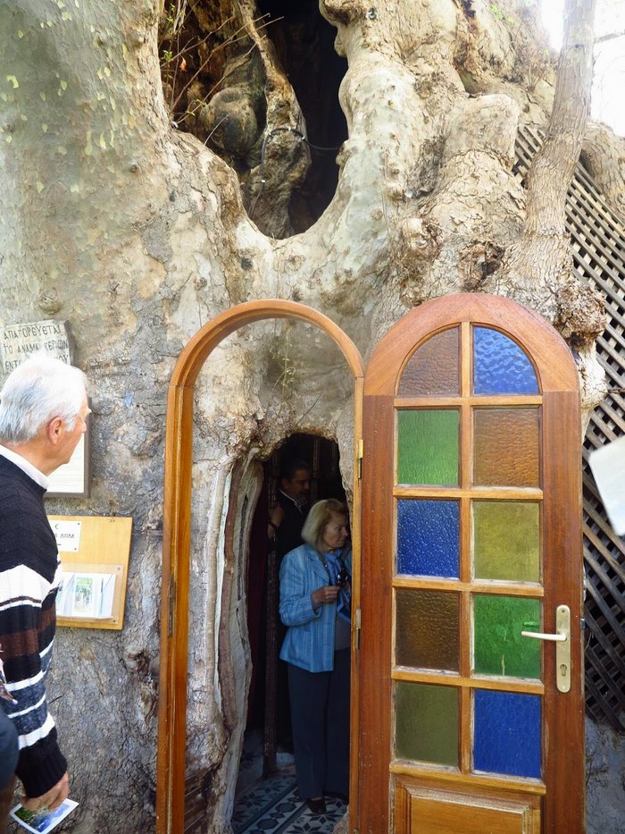 Μοναδικό στην Ελλάδα: Το Εκκλησάκι της Παναγίας που βρίσκεται μέσα σε έναν τεράστιο πλάτανο! - Εικόνα 7