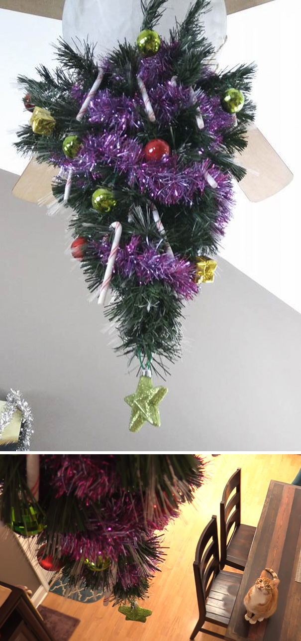 Πως να προστατέψετε το Χριστουγεννιάτικο δέντρο από τα κατοικίδιά σας - Εικόνα 10