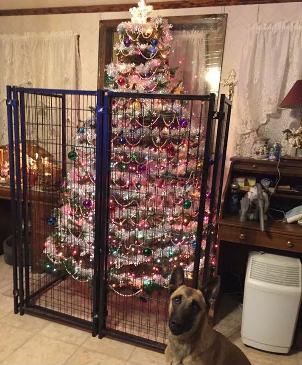 Πως να προστατέψετε το Χριστουγεννιάτικο δέντρο από τα κατοικίδιά σας - Εικόνα 25