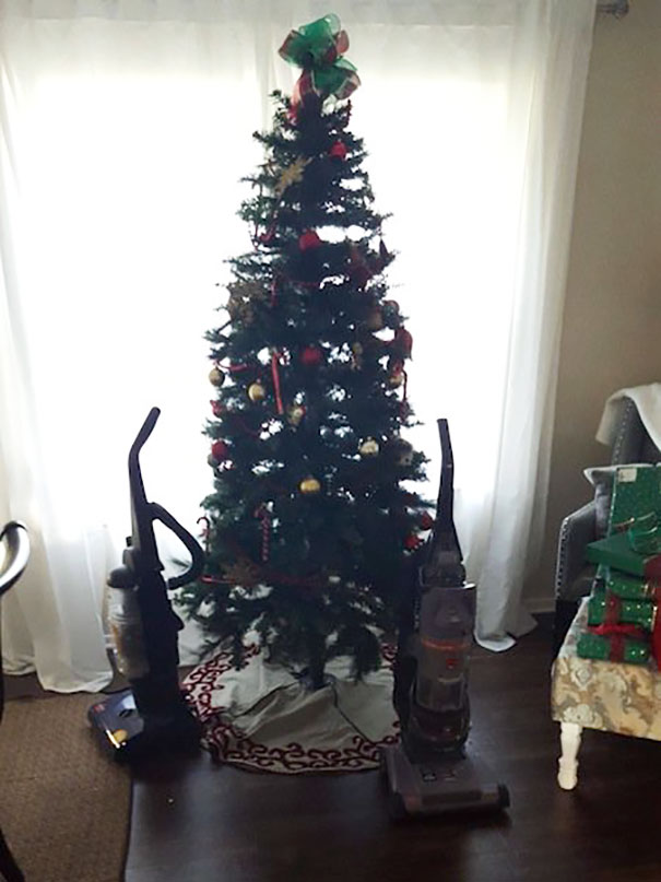 Πως να προστατέψετε το Χριστουγεννιάτικο δέντρο από τα κατοικίδιά σας - Εικόνα 4